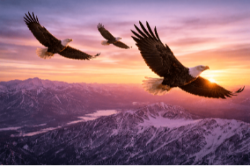 Baby eagles 6.png